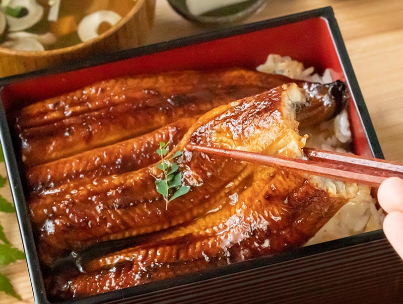 三河一色産うなぎ